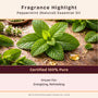 Peppermint Pure Essential Oil - close-up - Zoom Thumbnail Media 2