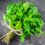 Peppermint Pure Essential Oil 712 - Zoom Thumbnail Media 1