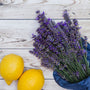 Lemon Lavender Fragrance Oil 176 - Zoom Thumbnail Media 1