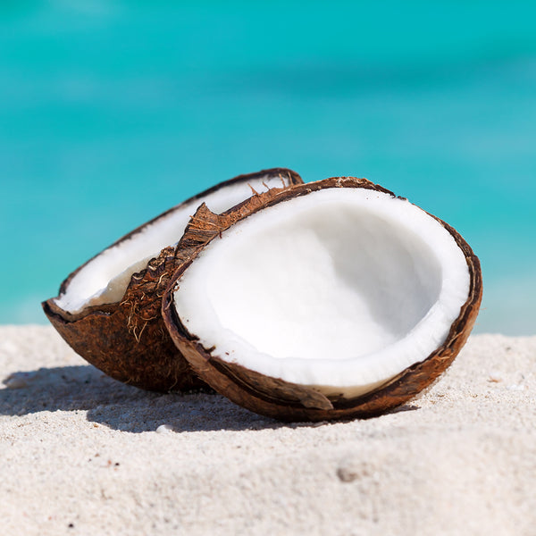 Caribbean Coconut Fragrance Oil 108 - Zoom Media 1