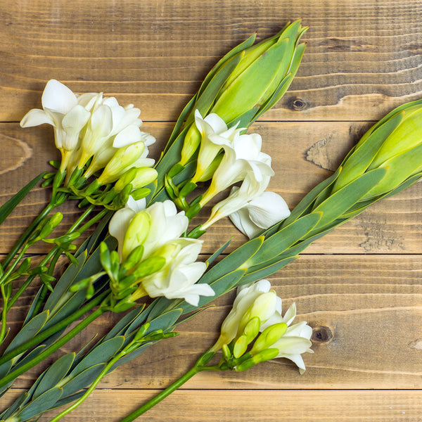 Freesia Fragrance Oil 150 - Zoom Media 1