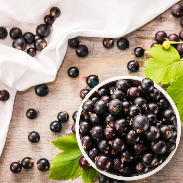 Acai Berries & Satin Fragrance Oil 415 - Zoom Media 1