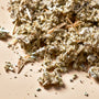 Sage - Botanical - product detail - Zoom Thumbnail Media 3