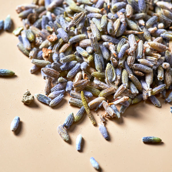 Lavender Buds - Premium Botanical - product detail - Zoom Media 3