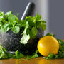 Citrus Cilantro Fragrance Oil 548 - Zoom Thumbnail Media 1