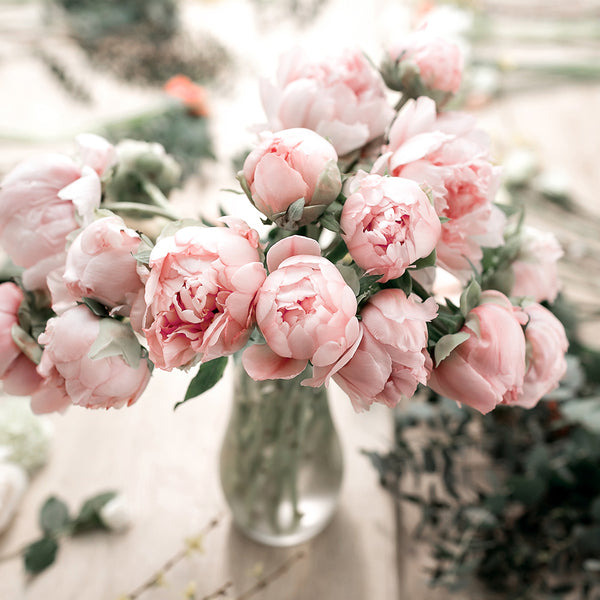 Peony Fragrance Oil 424 - Zoom Media 1