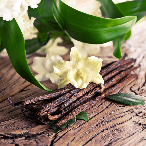 Sandalwood Vanilla - EO & FO Blend 214 - Zoom Media 1
