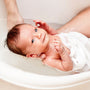 Baby Bee Buttermilk Fragrance Oil 442 - Zoom Thumbnail Media 1