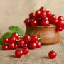 Wild Currant & Sandalwood Fragrance Oil 582 - Zoom Thumbnail Media 1