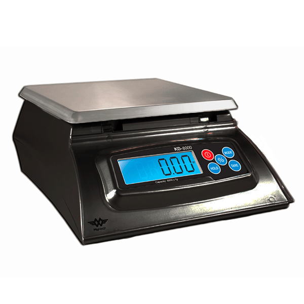 Scale - Digital Display (Professional) - Zoom Media 1