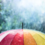 April Showers Fragrance Oil 264 - Zoom Thumbnail Media 1