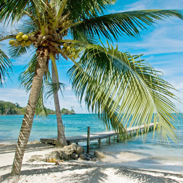 Caribbean Escape Fragrance Oil 495 - Zoom Media 1