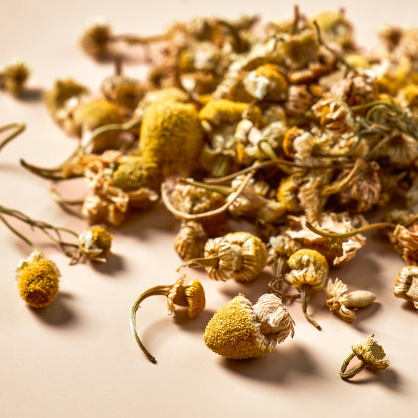 Chamomile Flowers - Botanical - product detail - Zoom Media 3