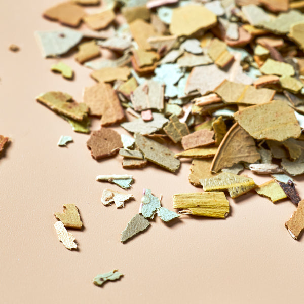 Eucalyptus Leaf - Botanical - product detail - Zoom Media 3