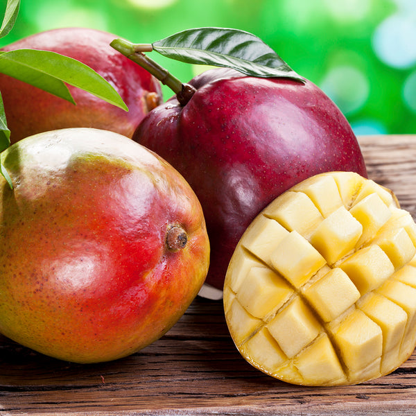 Apple Mango Tango Fragrance Oil 524 - Zoom Media 1