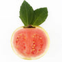 Guavaberry Goji Fragrance Oil 760 - Zoom Thumbnail Media 1
