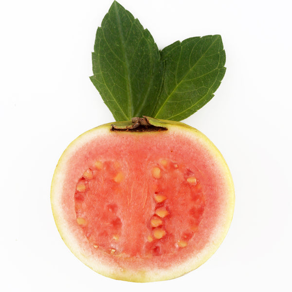Guavaberry Goji Fragrance Oil 760 - Zoom Media 1