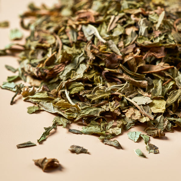 Spearmint Leaf - Botanical - product detail - Zoom Media 3