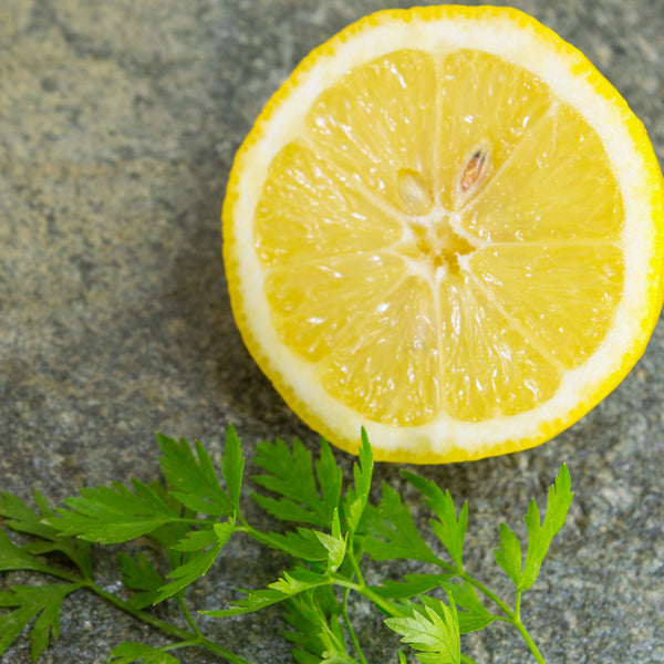 Lemon Seed & Parsley Fragrance Oil 577 - Zoom Media 1