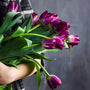 Wild Berry Tulips Fragrance Oil - Zoom Thumbnail Media 1