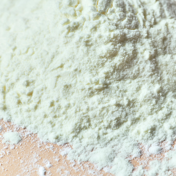 Yogurt Powder - close-up - Zoom Media 2