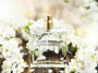 Botanical Hydration Face & Body Mist - Zoom Thumbnail Media 1