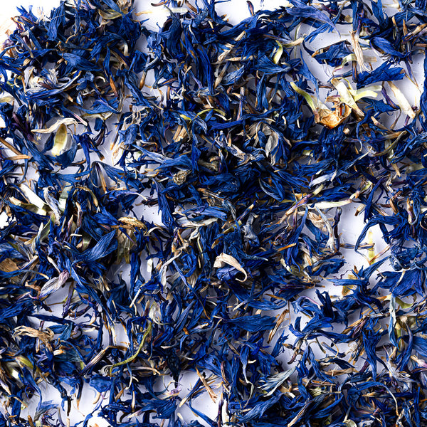 Cornflower Petals - Zoom Media 1