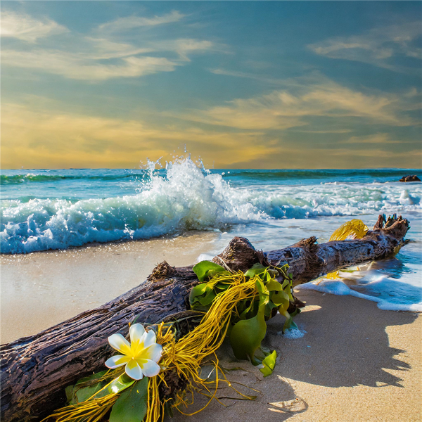 Salty Sea Air Fragrance Oil 16080 - Zoom Media 1