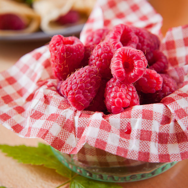 Raspberry Gingham - Natural Fragrance Oil - Zoom Media 1