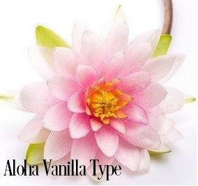 Aloha Vanilla Fragrance Oil 19774 - Zoom Media 1