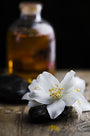 Angel Baby Fragrance Oil 14912 - Zoom Thumbnail Media 1