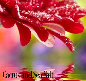 Cactus & Sea Salt Fragrance Oil 19873 - Zoom Media 1