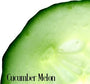 Cucumber Melon Fragrance Oil 19980 - Zoom Thumbnail Media 1