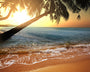 Golden Sands Fragrance Oil 15597 - Zoom Thumbnail Media 1