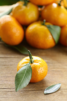 Mandarin Orange Fragrance Oil 15784 - Zoom Media 1