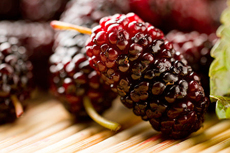 Mulberry Fragrance Oil 15861 - Zoom Media 1