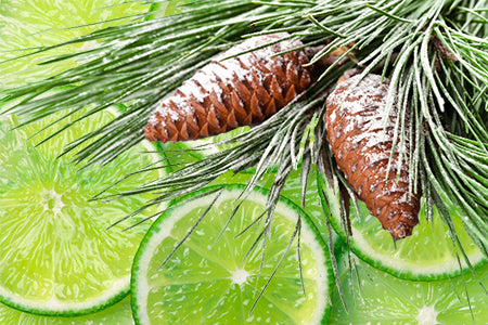 Pinecone & Lime Fragrance Oil 15975 - Zoom Media 1
