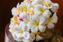 Plumeria Fragrance Oil 15991 - Zoom Thumbnail Media 1