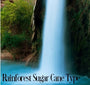 Rainforest Sugarcane Fragrance Oil 20253 - Zoom Thumbnail Media 1
