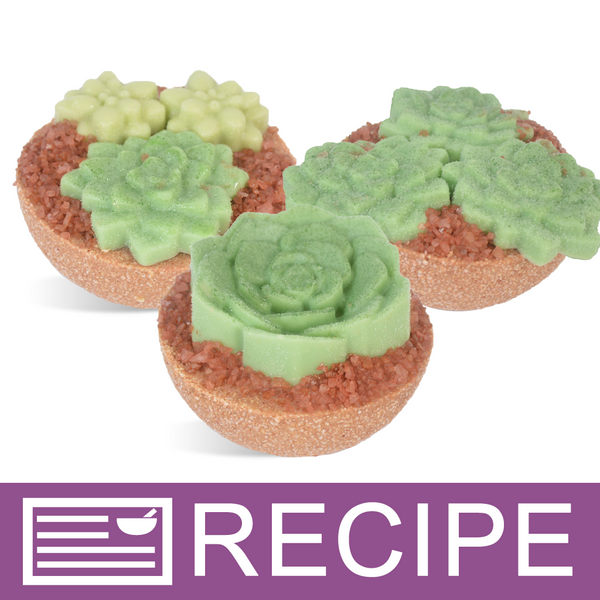 Potted Succulent Bath Bombs