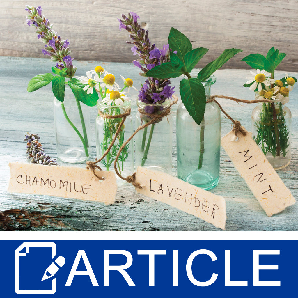 Introduction to Aromatherapy