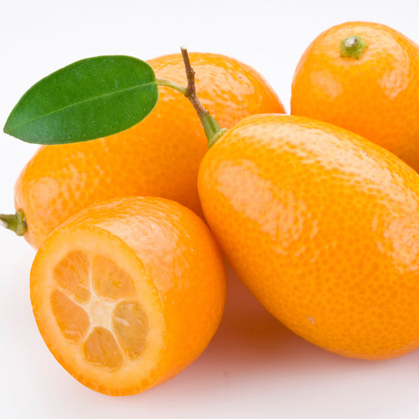 Kumquat Fragrance Oil 653 - Zoom Media 1
