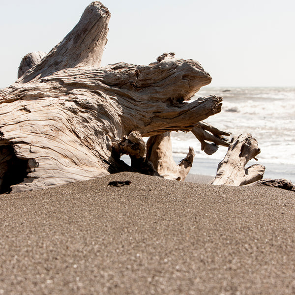 Sea Salt & Driftwood Fragrance Oil 761 - Zoom Media 1