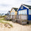Coastal Cottage Fragrance Oil 770