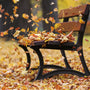 Fall Breeze Fragrance Oil 898 - Zoom Thumbnail Media 1