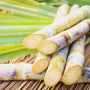 Sun Kissed Sugarcane Fragrance Oil - Zoom Thumbnail Media 1