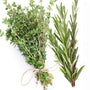 White Thyme & Rosemary Fragrance Oil 940 - Zoom Thumbnail Media 1