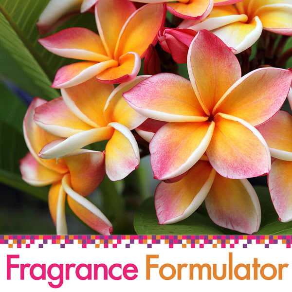 Spiced Floral Fragrance Oil - FF# 18 - Zoom Media 1