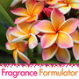 Spiced Floral Fragrance Oil - FF# 18 - Zoom Thumbnail Media 1