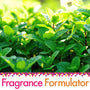 Mint Fragrance Oil - FF# 41 - Zoom Thumbnail Media 1